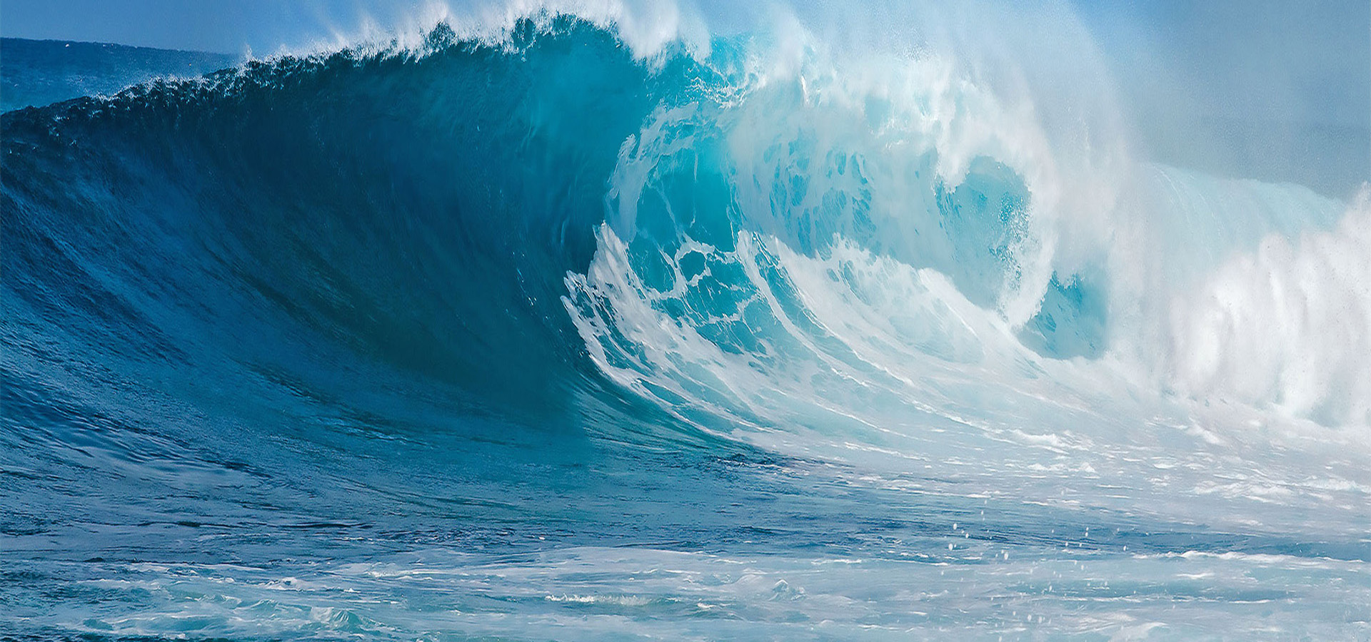 元含万象、万象非凡国际